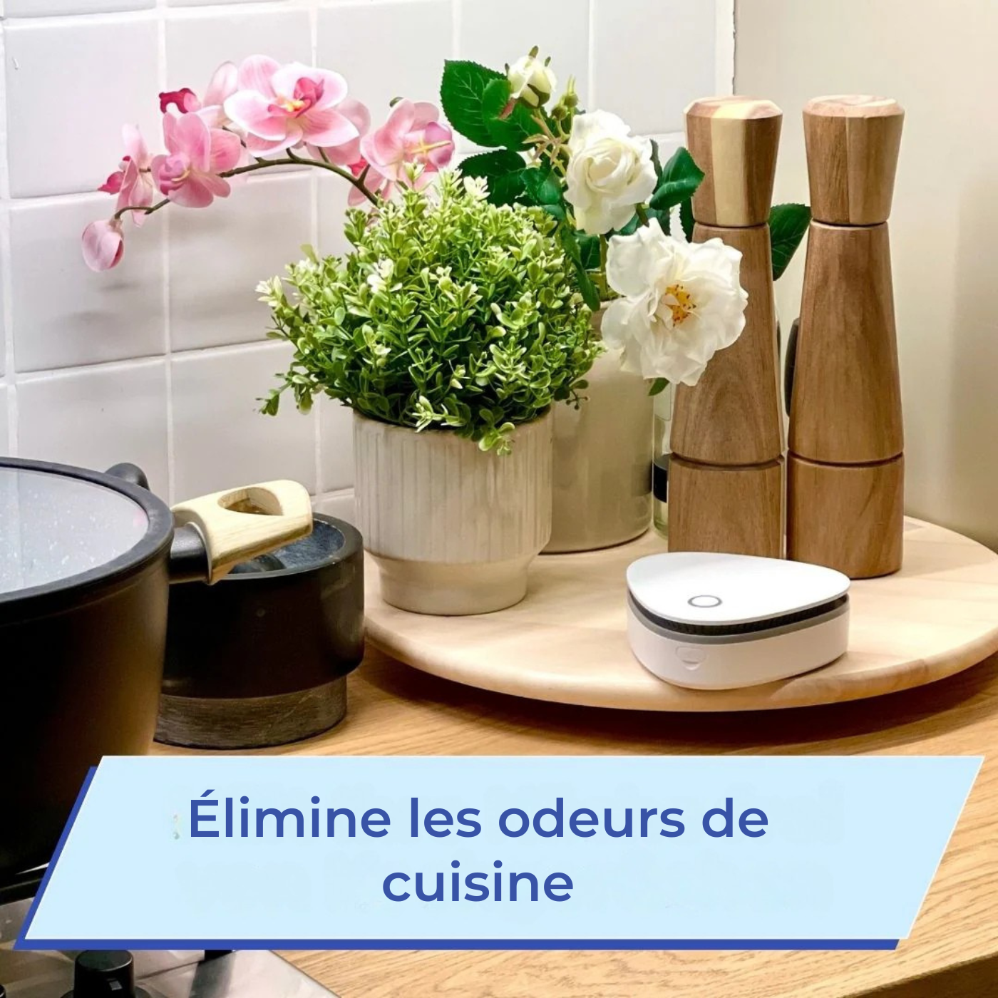 Ozonix - Éliminez la fumée, les odeurs d'animaux et celles de cuisine